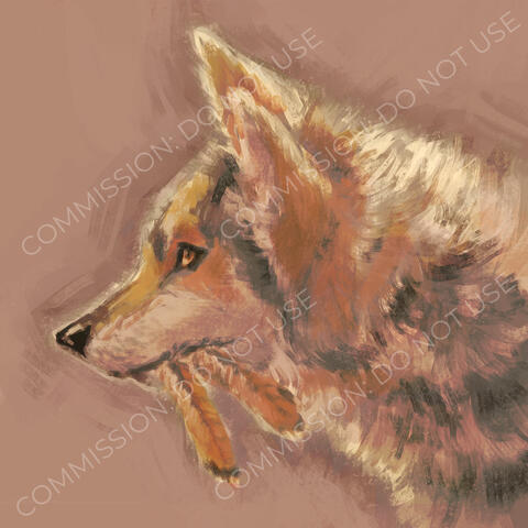 illustration of the side profile of a mexican wolf over a simple abstract background. the wolf has mottled gray fur. it is holding two hawk feathers in its mouth. the image is overlaid with repeating text that reads: "commission: do not use"